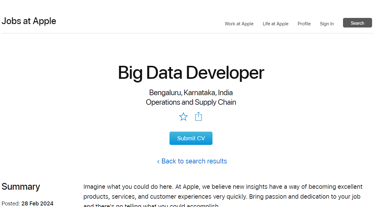 Apple Big Data Developer